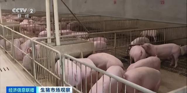 降幅超20%牛肉卖到猪肉价！养殖户叫苦连天价格已创5年来最低(图8)